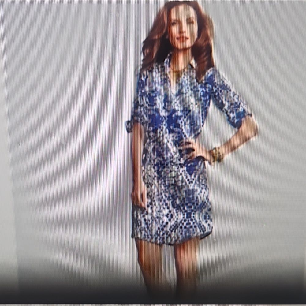 CAbi Blue and White Printed Shirt Dress